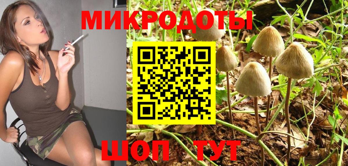 Псилоцибиновые грибы прущие грибы  Вход с VPN  Псилоцибиновые грибы GOLDEN TEACHER  Заречный 